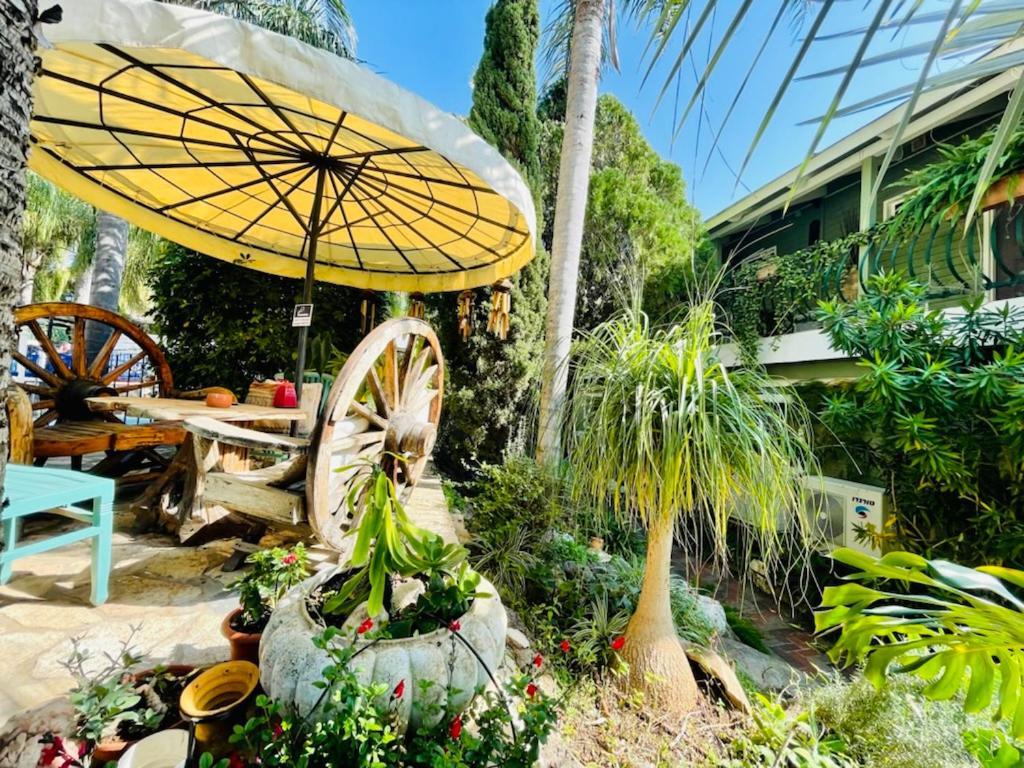 Out Of Africa Resort Had Nes Exterior foto