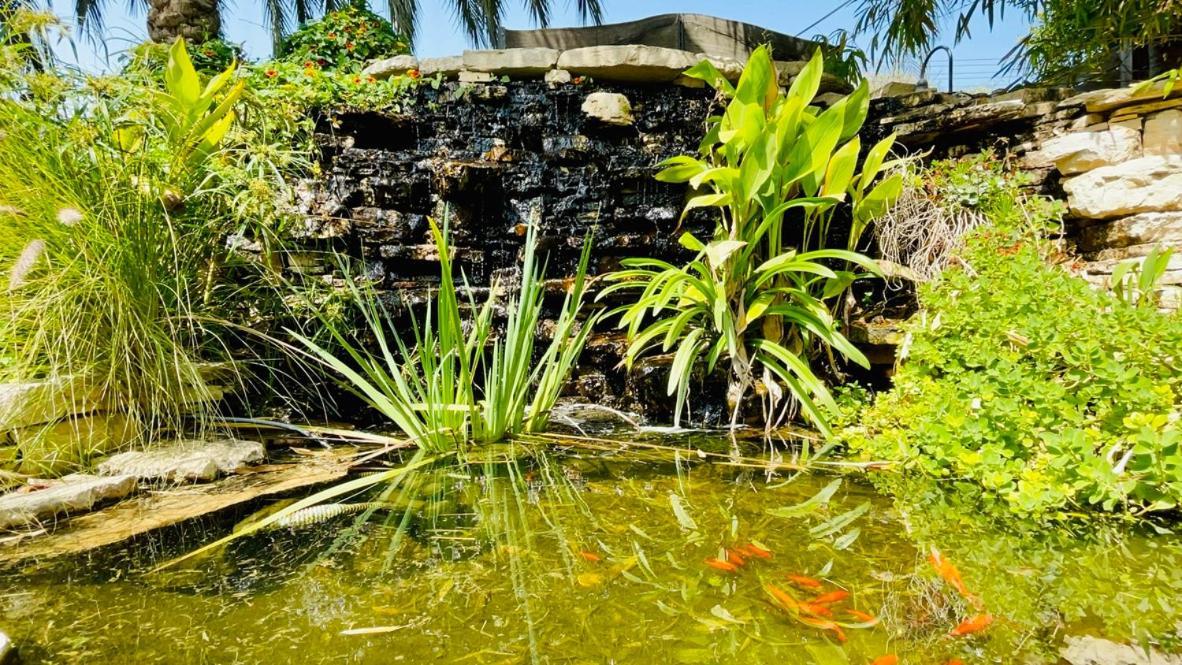 Out Of Africa Resort Had Nes Exterior foto